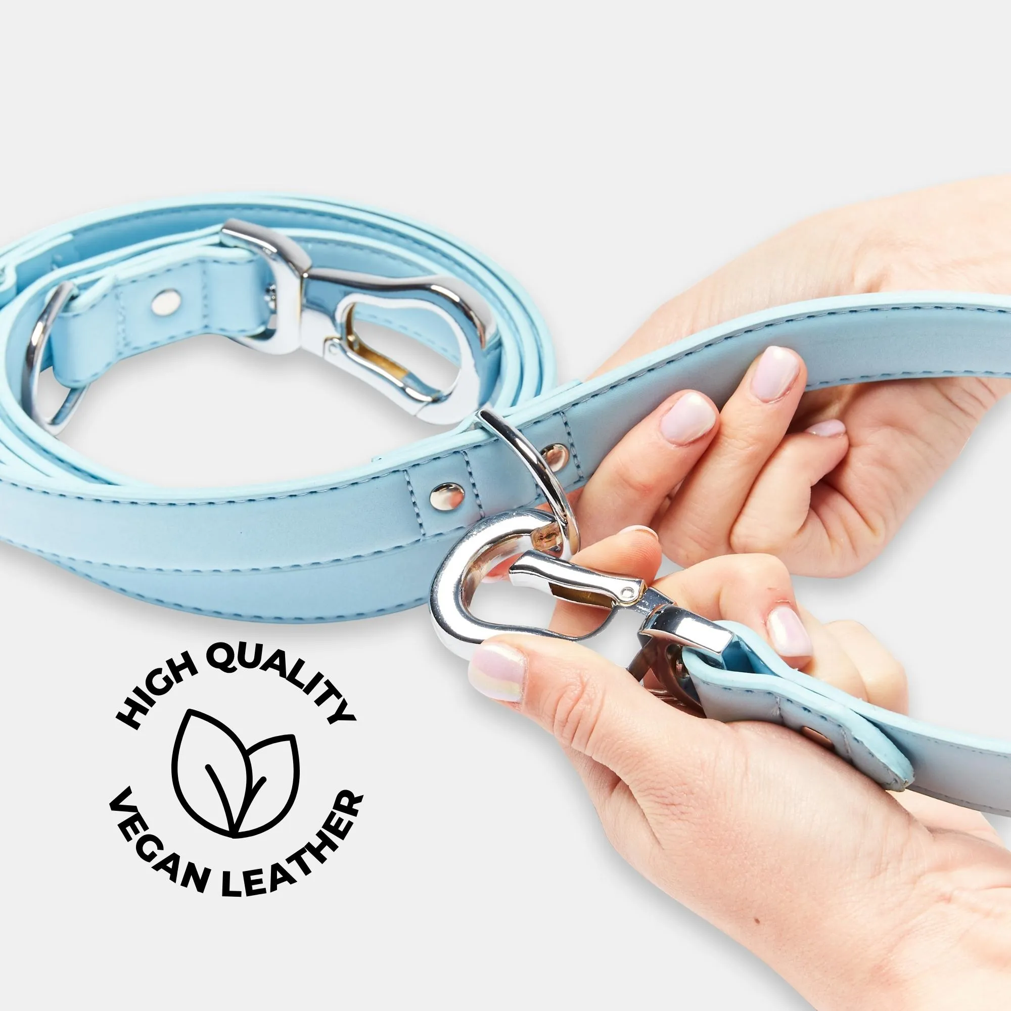 Coastal Blue Versatile Lead