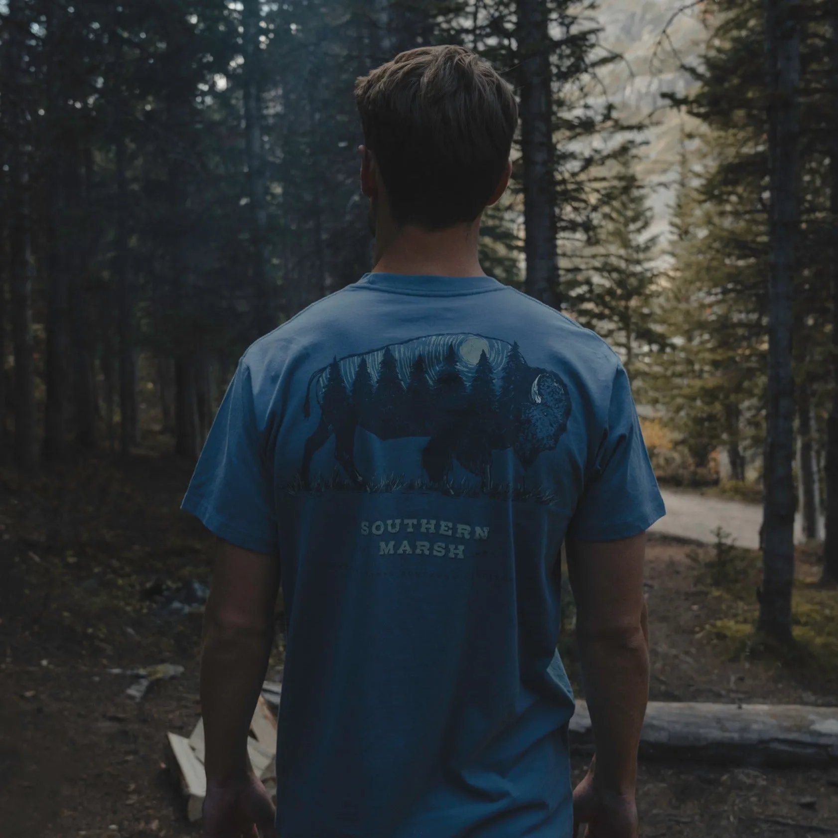 Starry Silhouette Tee - Buffalo